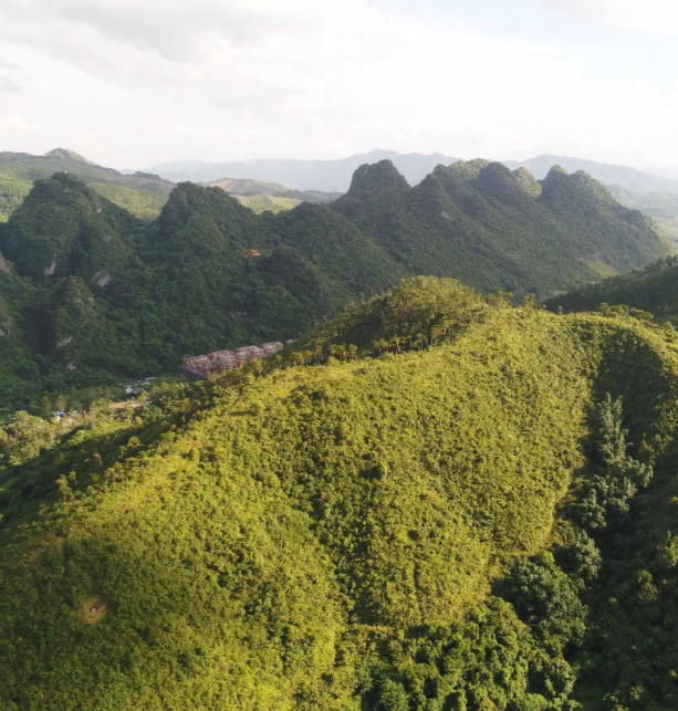 607bd370210be.png 7.png