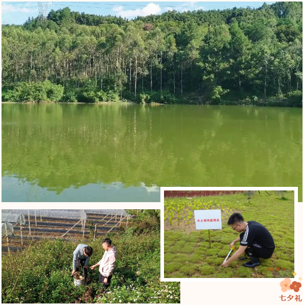 6304452654823.png 2.png