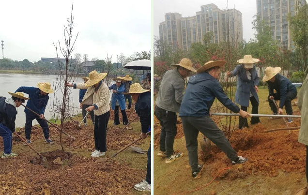 66b2ec35d21c7.png 博環(huán)植樹(shù)03.png